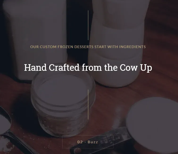Buzzed Bull Website